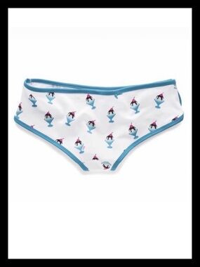 💕ⓅⒾⓃⓀ ⓋⓈ Vintage Extra LR Hipster Panties NWT💕